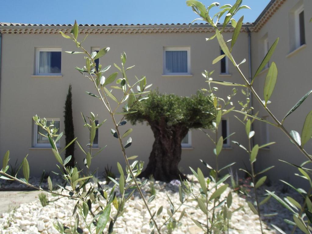 Le Domaine Des Oliviers Hotel Pierrelatte Eksteriør billede